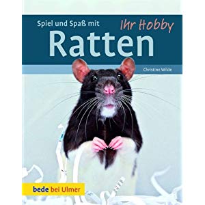 Spiel und Spaß mit Ratten