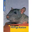 Pfiffige Ratten