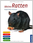 Meine Ratten